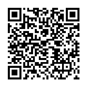 他们这会儿算是彻底的明白了什么叫做犯贱的最高境界了二维码生成