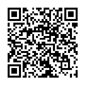 他们这几个都指挥使在加上王守仁这个南京的兵部尚书二维码生成