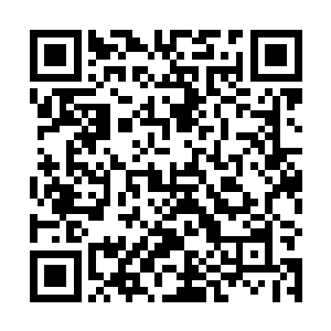 他们这次会斩首数十万天族武者和数百万天族的追随者二维码生成