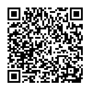 他们那全力凝聚而出的天妖虚影竟然仿佛是受到了什么诡异力量的影响一样二维码生成