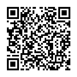 他们都不明白子魔堂主为什么将自己的攻击硬生生的拉了回来二维码生成