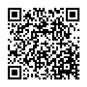他们都从这个动作中察觉出了令狐秋那瞧不起他们的意思二维码生成