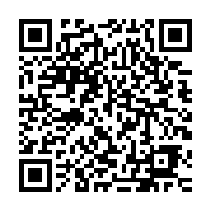 他们都可能以为是宋家大少故意安排这样的活动来逗弄他们了二维码生成