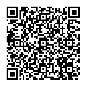 他们都是一起作战颇有点儿人类你是单挑挑我们一群还是我们群挑你一个的无耻作风二维码生成