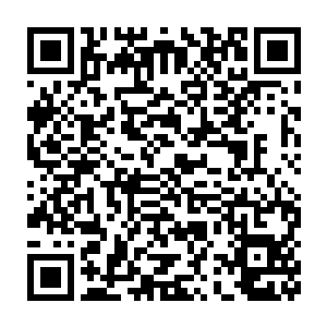 他们都没有见到任何有关这墓室身份主人介绍的文字或者说是讯息二维码生成