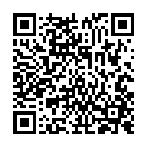 他们都知道张潇晗曾经怎样小心地保守着神识攻击的秘密二维码生成