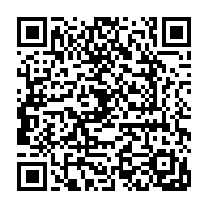 他们都能把他欺负得落荒而逃――这种桀骜其实也是剧组的一种自我保护二维码生成