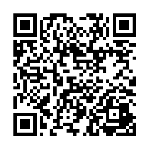 他们都还沉浸在陈观描绘的美丽的周里街的美景当中呢二维码生成