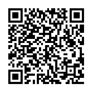 他们金家就算是掌握了这次天府市论道大会的举报权也是没用的二维码生成