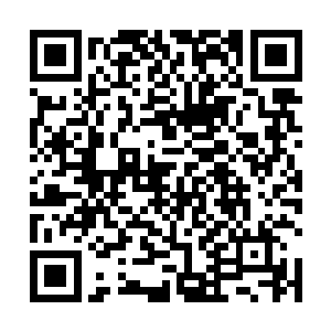 他们难以置信的看着站在最后一列的帝国综合学院队伍二维码生成