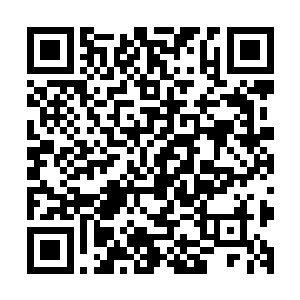 他们黑暗精灵族好不容易才将精灵族绝大多数的不朽强者困在二维码生成