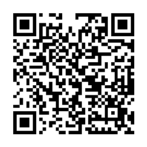 他会想办法把三大鬼王和三大家族的镇狱使都给引过来二维码生成