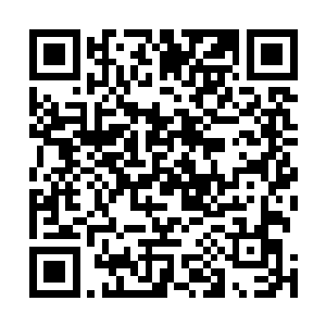 他估计另一处荆棘墙离这里怎么也得有个十几二十公里的二维码生成
