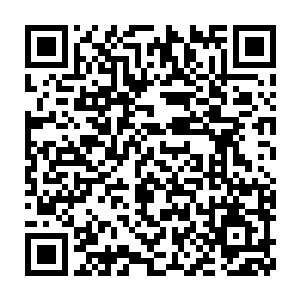 他估计第二转小成甚至是大成之后才能用上金翅大鹏的精血来修炼二维码生成