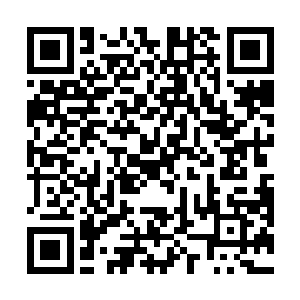 他体内的洗灵醇醉意已经通过神宫灌注到了回春文盘内二维码生成