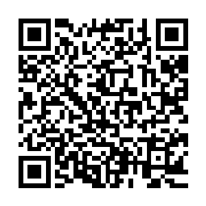 他体内连续吞服的两颗回生丹的药效这才慢慢的得以发挥了出来二维码生成