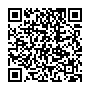 他体表破碎的肌肉纤维也开始在阵阵红光的环绕之下渐渐止血二维码生成