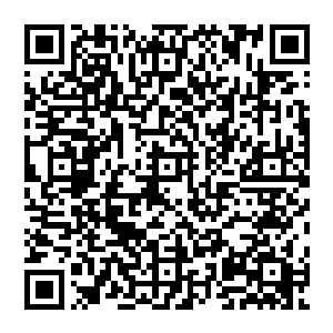 他倒吸一口凉气 感受着那犹如生死边缘徘徊的疼痛之感 他的一颗心却是划入了疼痛的最中心二维码生成