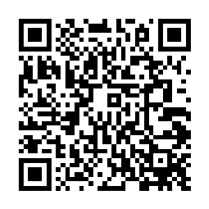 他倒是不在意这丢过来的东西是不是暗器或是毒物之类的二维码生成