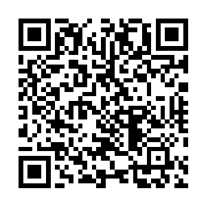 他做梦也没有想到和东京大学的交流活动会变成现在这样二维码生成