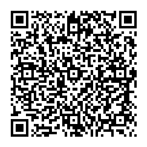 他傲然的屹立虚空 看着前方的血魔 心道果然强横无比 但就算再强悍 也必定死在他的手中 这是必然二维码生成