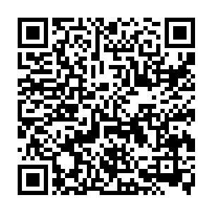 他其实同样从眼前这名病态青年的身上感应到了一丝极其诡异可怕的气息二维码生成