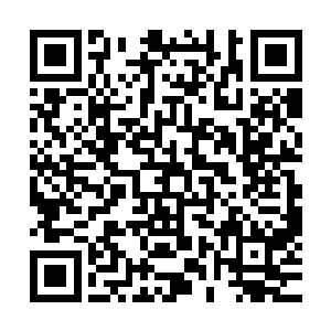 他其实是乐于看着他们把那些红名人类和不熟的动物们给吃了二维码生成
