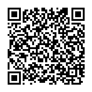 他再也忍受不了她一直穿着他的衬衣在他的眼皮子底下晃来晃去的了二维码生成