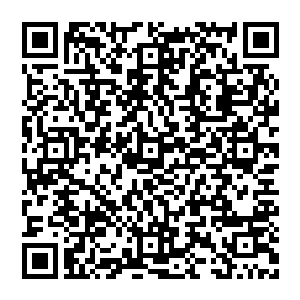 他凌空飞舞 长发乱飘 看着前方十大门派的修士 心里尽是嘲讽 就在他将要出手的时候 忽然传來两道呼喊声二维码生成