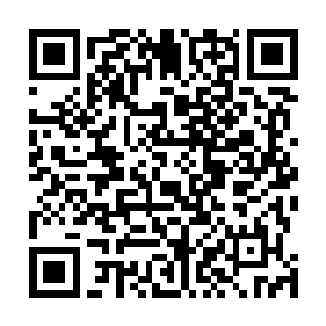 他则是因那次在操场爬墙被教导主任当场抓住而一举成名二维码生成