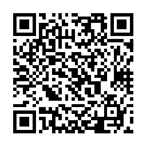 他刚才利用命运轮盘帮助小晶挡下了修罗主宰的一击二维码生成