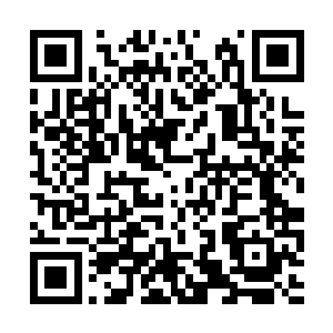 他却不知金刚展现的自动疗伤与修者有本质的区别二维码生成