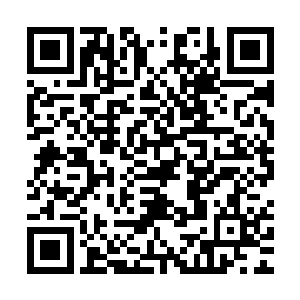 他却没有表情的挨个上去在头上胸口双手抓住木耙重重的往下夯二维码生成