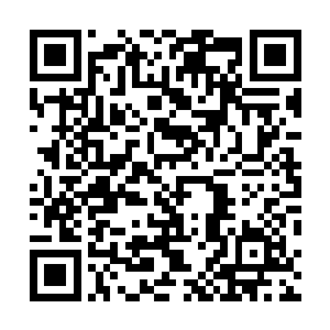 他却还没动静……看样子昨天和卢卡斯在外面玩的很嗨嘛二维码生成