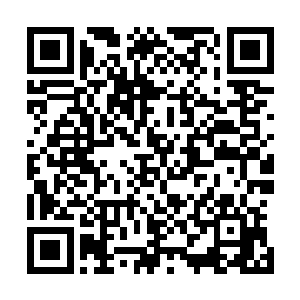 他压榨出神魂深处最后一滴力量和数据库里的最后一串数据二维码生成