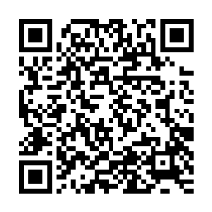他原本平淡无波的面庞在仔仔细细打量一番之后还是皱起了眉头二维码生成