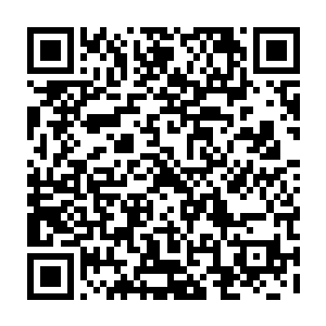 他又为什么要在一开始就把猎犬放出来追杀猎物呢……万一我直接被狗咬死了二维码生成