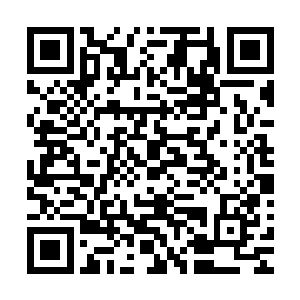 他又何尝不知道林辰与莫冷二人正在施展着什么不得了的秘术二维码生成