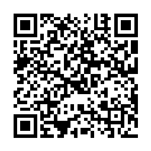 他又把夏洛克燕从太古仙戒里挪到了蚕茧里的床上去了二维码生成