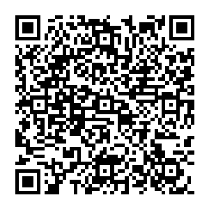 他双手掐诀 在古棺成型的那一刹那 他脑中就多了一段神秘的神通 沒有口诀 沒有术法 只是一个神通二维码生成