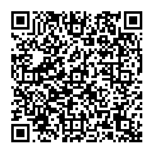 他双手掐诀 镇世铜棺在旋转 呼呼之声不绝于耳 响彻虚空 带着灭世之威再次降临 似乎要将哪吒给彻底镇压二维码生成