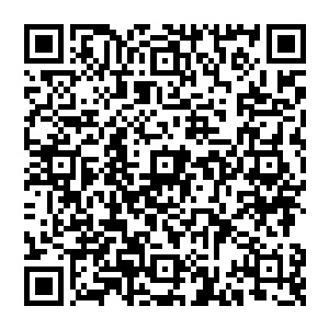 他双眼一瞪 天眼打开之下 顿时看清了在身体周围的情况 难怪一直沒有看到哪吒使用 看來是早就有了打算二维码生成