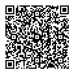 他双眼闭合 对着快速卷动而來的龙卷风视而不见 他傲然的伫立在虚空 像是定海神针 又像是一颗磐石二维码生成