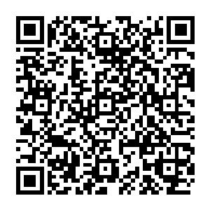 他发现夏天平时做的那些无意之间的举动其实就是在慢慢的帮助他们感悟界之力量二维码生成