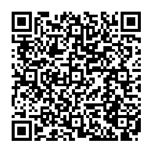 他发现自己除了使用真・不动明王印之外似乎真的没有别的方法可以战胜的了袁志强了二维码生成