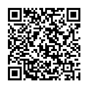 他只不过是一个小小的江海市特别行动处的总教官二维码生成