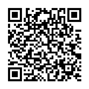 他只好忍痛挑出二十个修为最差的弟子去进行第一次探索二维码生成