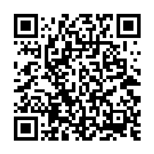 他只是做为南方设计公司的投资商和俄罗斯天网公司的合资方二维码生成
