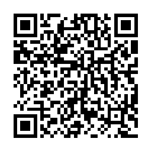 他只是暗暗的观察到此时的盗骊慵懒眯着的双眸彻底睁开二维码生成