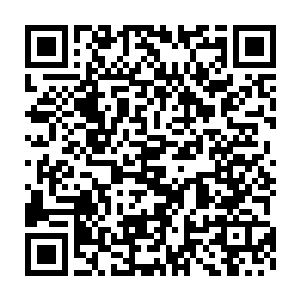 他只是用怜惜的目光注视着眼前这个美丽的仿佛精美瓷器一样的少女二维码生成